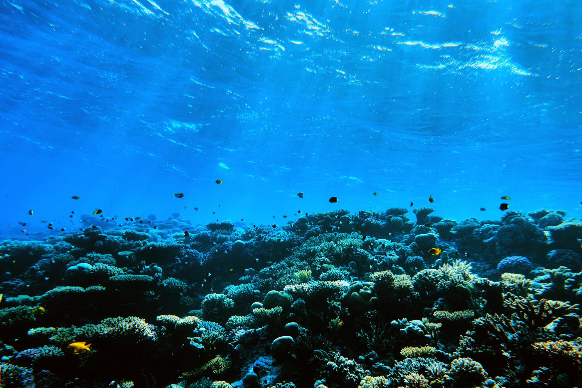 海洋科学