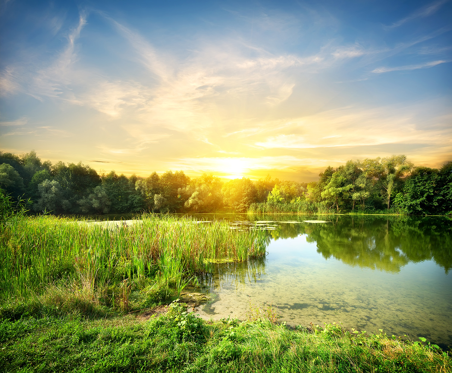 Environmental Science