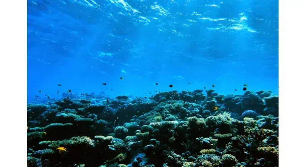 海洋科学