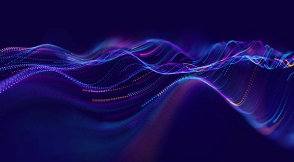 Network Intelligence and Leak Detection