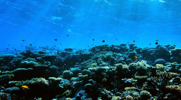 海洋科学